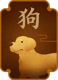 生肖兔