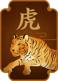 生肖兔