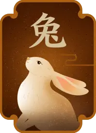生肖兔