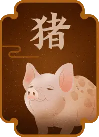生肖兔